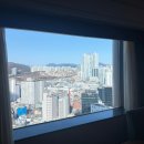 부산롯데호텔 | 부산 롯데 호텔 숙박 후기 (라운지, 겨울 수영장 리뷰)