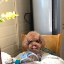 주포주유소 이미지