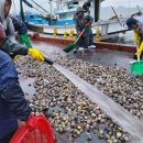 푸드어택 이미지