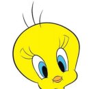 채운푸드 이미지