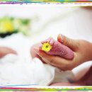 태양꽃집 - 성남시 수정구 산성대로 267 | 태양꽃집