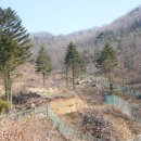 문촌2리 석화지 이미지