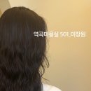 501 미장원 이미지