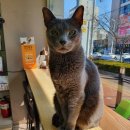 sun동물병원 이미지