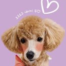 도나앤도니도나&도니 이미지