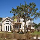 비야대정로 이미지