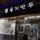 [동대문 을지만두] 내돈내산 후기 🥟 과연 이 가격을 주고 먹을만한 맛인가