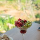 새실농장 이미지