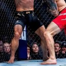 무패행진 중인 현역 UFC 선수들 이미지