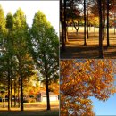 양재어린이공원 이미지