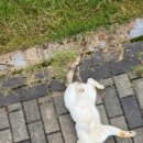 누리종합동물병원 이미지