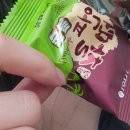 비응-비상-대장-01 | 2026년 첫 일상 블로그ㅎ