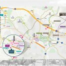 용인대 정의태권도 이미지