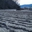 여주-1037 이미지