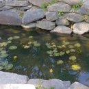 창포농장 이미지