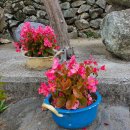 달이실펜션 이미지