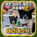 테리네간식 이미지