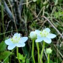 노고단-13 이미지