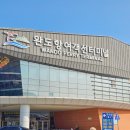 두발노래방 | 타고 완도에서 제주도 가기 차량선적 한일고속 골드스텔라 스페셜 펫룸 후기 애견동반 페리 제주 한달살기