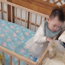 조정대로 | 하남 돌촬영 오뉴한복스튜디오 내돈내산 꿀팁 후기 (한채당 대신 선택한 이유)