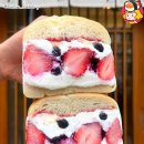 빈투어 주식회사 이미지