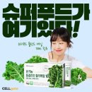 케일 - 양천구 공항대로 594 | 케일
