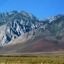 다정한오후 이미지