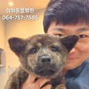 지리산동물병원 이미지