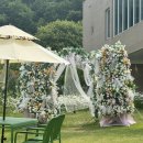 아산 탕정 대형카페 구루미 데이지 꽃밭 감성