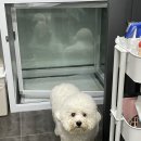 야옹아 멍멍해봐(에코시티점) 이미지