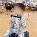 285 | 20개월 아기랑 일본 소도시 사가 여행 TW285 후기