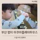 아쿠아펫 카페수족관 | 부산 명지 키즈카페 아쿠아플레이하우스 수족관 어트렉션 후기