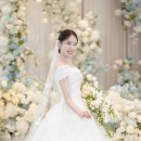 더링크호텔 베일리홀 본식스냅 로스튜디오 촬영 후기