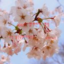 남산공원오토캠핑장 이미지