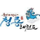 용인대박사청룡태권도 이미지