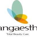 장에스테 이미지