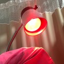 대곡시원제통의원 | 대곡시원제통의원 담걸렸을 때 꼭 가보세용'-'d