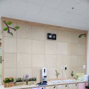 용흥초병설유치원 이미지