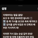 갈치 먹는법 발골 꿀팁 이미지