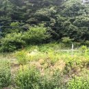 월곡초등학교삼계분교장 이미지