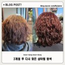 오일체인지 | 춘천 퇴계동 미용실 샵이엘 아베다 염색 재방문, 3개월 후 컬러 체인지