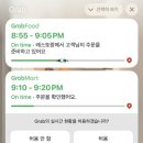 마당나온수탉 | '25 Phuket #4