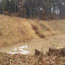 안중읍 금곡삼거리 이미지