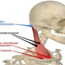 곡반정동PT하우스 이미지