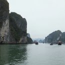 Halong (하롱) 이미지