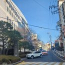 서초강남키즈