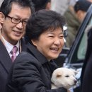 새롬애견 이미지