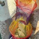 OK낚시터 이미지