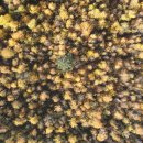 황금목욕탕 이미지