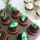 사랑줄개 이미지